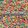 Boxspring - Give Up While You Can - Single